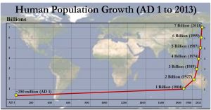 human population growth